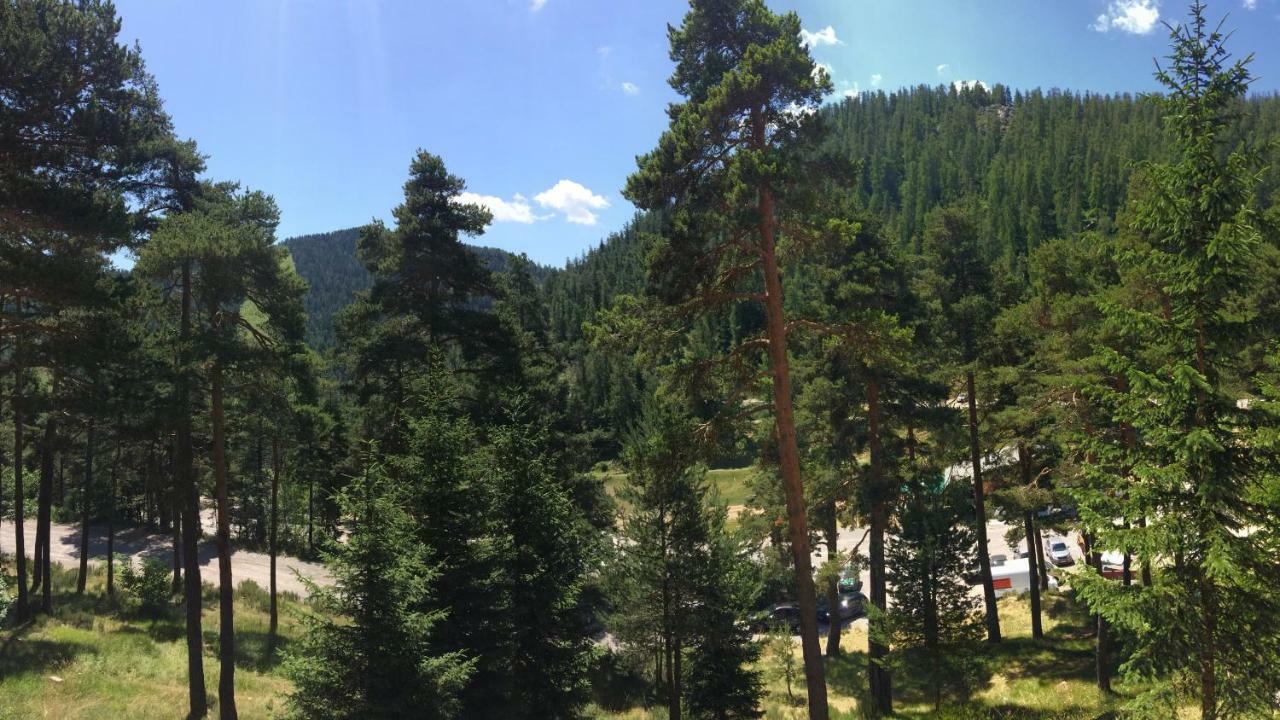 Le Meleze Apartment Valdeblore Bagian luar foto